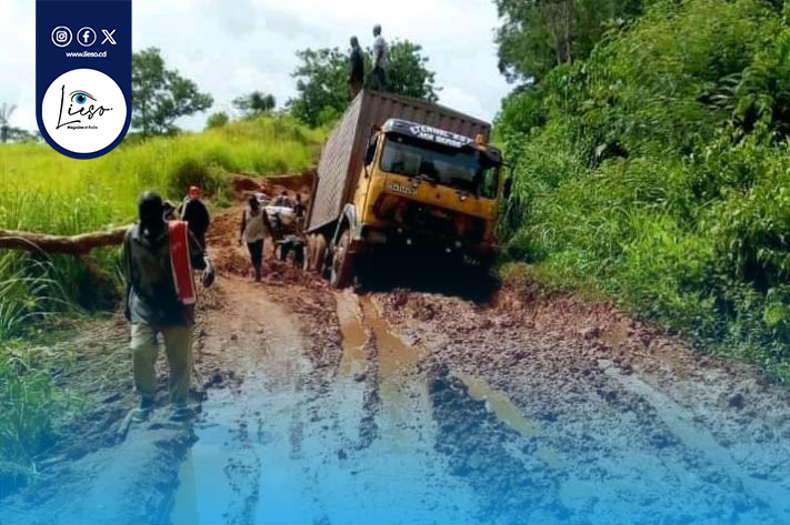 WhatsApp Image 2024-11-29 à 10.51.17_3d5dffa7